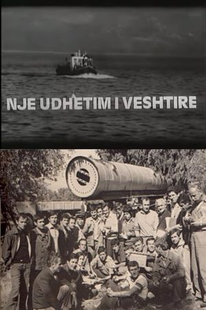 Një udhëtim i vështirë's poster image