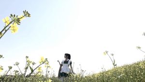 Mai-chan no nichijô's poster