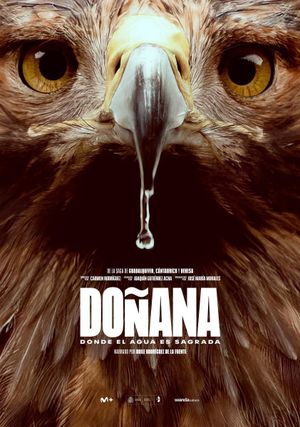 Doñana's poster
