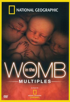 In the Womb: Multiples's poster