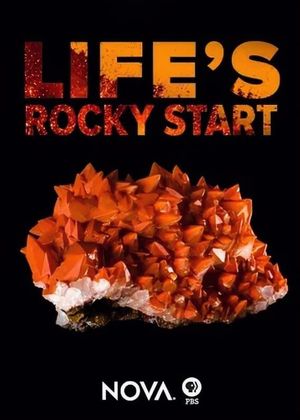 NOVA: Life's Rocky Start's poster