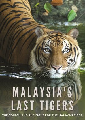 Malaysia's Last Tigers's poster image