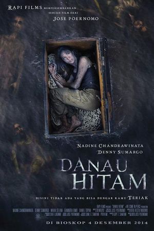 Danau Hitam's poster