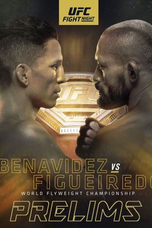 UFC Fight Night 169: Benavidez vs. Figueiredo's poster