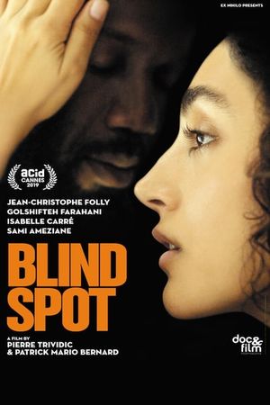 Blind Spot's poster image