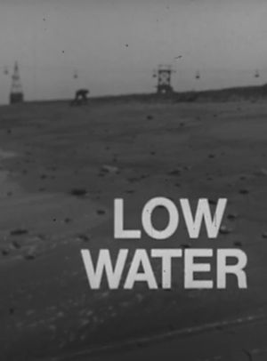 Low Water's poster