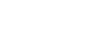 The Naked Citizen's poster