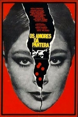 Os Amores da Pantera's poster