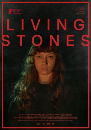 Living Stones's poster