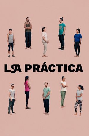 The Practice's poster