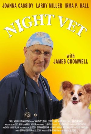 Night Vet's poster