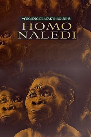 Science Breakthroughs: Homo Naledi's poster