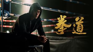 The Journey of a Boxer's poster