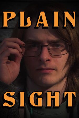 Plain Sight's poster