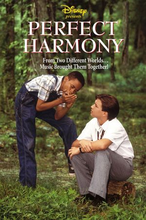 Perfect Harmony's poster