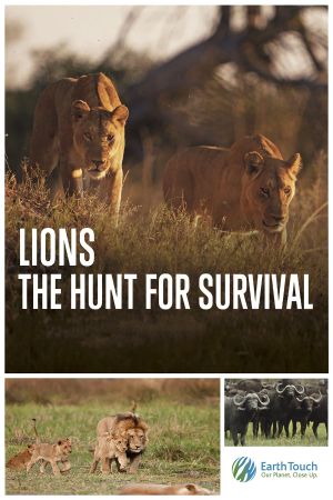 Lions: The Hunt for Survival's poster