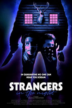 Strangers in the Night's poster