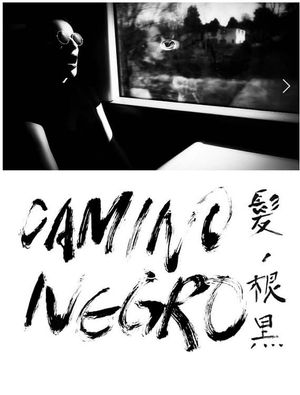 Camino Negro's poster