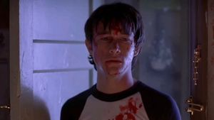 Mysterious Skin's poster