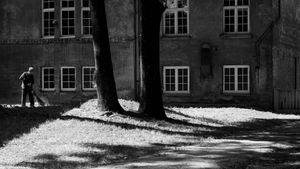 The Disappearance of Josef Mengele's poster