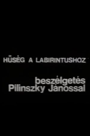 Hűség a labirintushoz – Beszélgetés Pilinszky Jánossal's poster