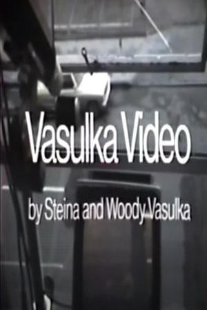 Vasulka Video's poster image