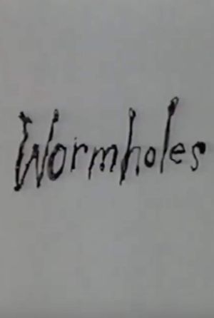 Wormholes's poster