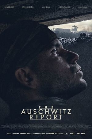 The Auschwitz Report's poster