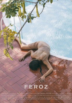 Feroz's poster