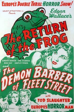 The Return of the Frog's poster