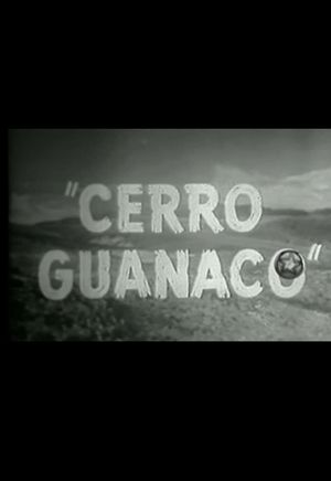 Cerro Guanaco's poster