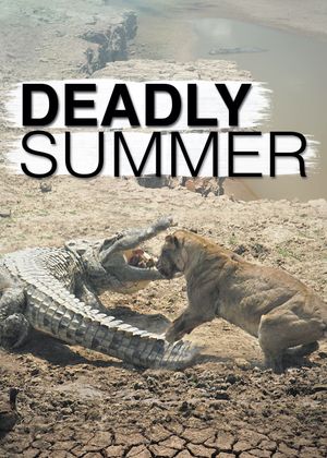 Deadly Summer's poster