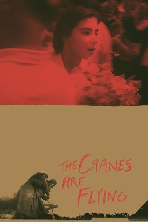 The Cranes Are Flying's poster
