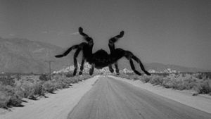 Tarantula's poster