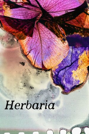 Herbaria's poster