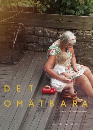 Det omätbara's poster