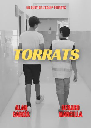 TORRATS's poster image