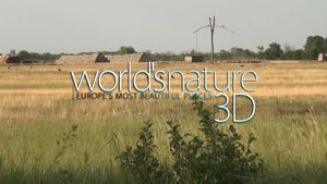 World's Nature 3D's poster