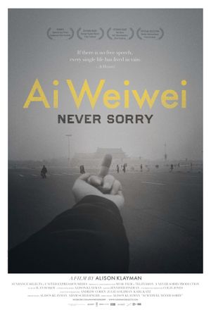 Ai Weiwei: Never Sorry's poster