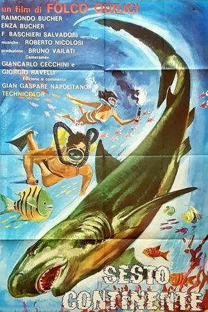 The Sixth Continent's poster