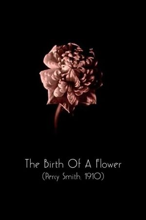 The Birth of a Flower's poster image