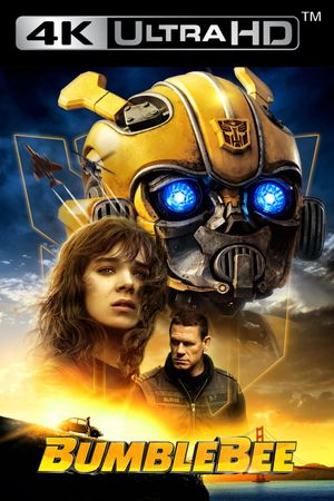 Bumblebee's poster