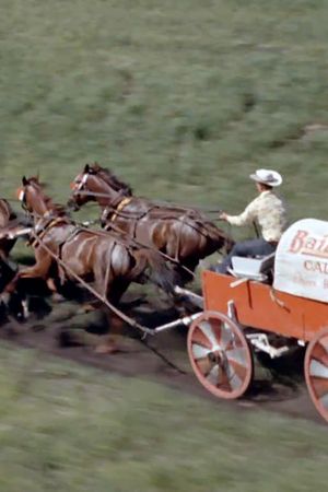 Chuckwagon's poster