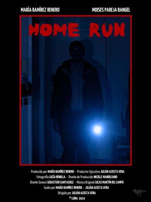 Home run's poster image