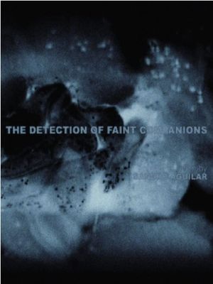 The Detection of Faint Companions's poster