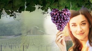 Love on the Vines's poster