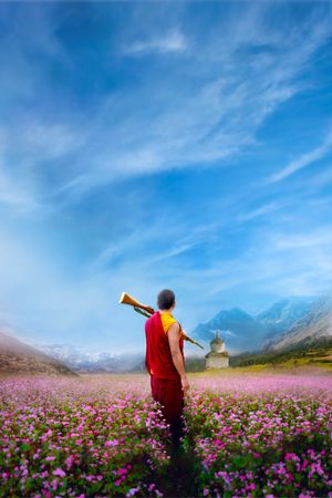 The Monk and the Gun's poster