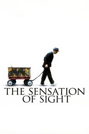 The Sensation of Sight's poster