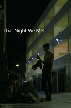 That Night we Met's poster