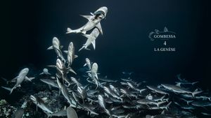 700 Sharks (Gombessa 4, Genesis)'s poster